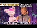 DARCI LYNNE RETURNS TO AGT  with Petunia QUARTERFINALS 1 America's Got Talent 2018 AGT