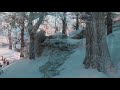 Winter Walk  3D Screensaver