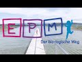 Dein Weg