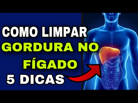 Vídeo: 10 etapas simples para transformar você e seu cão no companheiro de quarto ideal