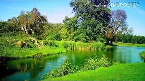 إن هذا #القرآن يهدي للتي هي #أقوم #تلاوة من #سورة #الإسراء بصوت حسن الجمعة