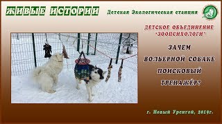 Зачем вольерной собаке поисковые тренажёры? Зачем вольерной собаке поисковые тренажёры?