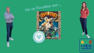 🔍 We focus on Bug Run