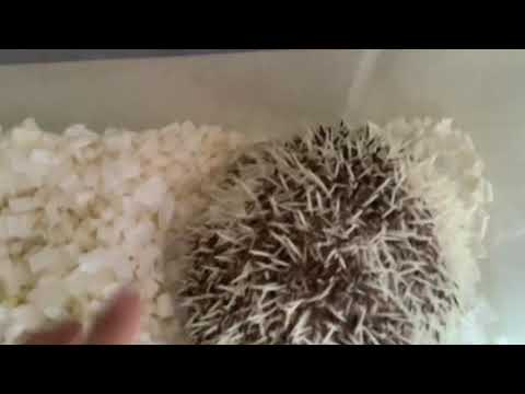 10秒無駄にする動画
