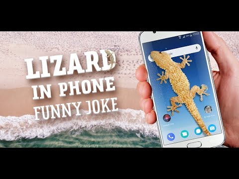 lizard-in-phone-funny-joke---android