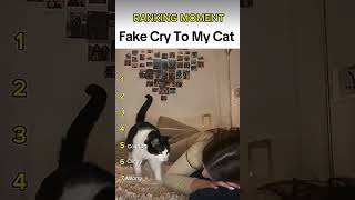 Literally bro 😭😭😭 #catstrategy 