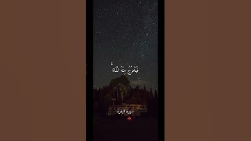 تلاوة خاشعة بصوت الشيخ ماهر المعيقلي ارح سمعك #ماهر_المعيقلي #quran
