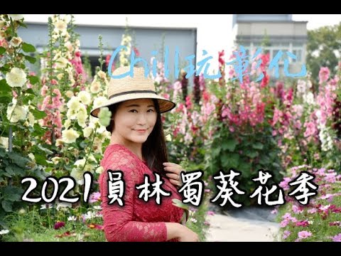 2021員林蜀葵花季｜居然比人還要高大的蜀葵花 員林蜀葵花季免費入園 10000株蜀葵壯闊花海免費參觀 探訪日期110/04/03｜西莉亞玩樂人生