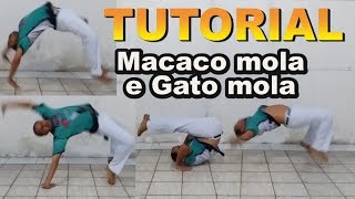 Capoeira Tutorial#26 (Macaco Mola / Gato Mola / Kick up / Suicide / FlicFlac Kip up / Palhaço mola)