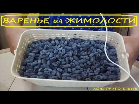 Варенье из Жимолости. Необыкновенно вкусное. Пальчики оближешь.