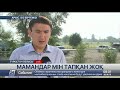 Арыс қаласының қақпасы ашылды