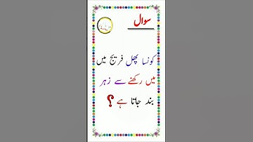 Gk amazing quiz questions answers in urdu Common sense question? #youtube #youtuber #youtubeshorts