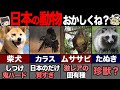 海外の人が驚く日本だけの動物7選！ 【ゆっくり解説】