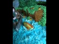 ТОРТ Рыбалка Cake Fishing