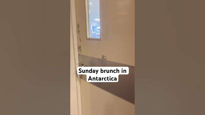 This is the food at Sunday brunch in Antarctica