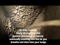 Capitol Air Care, Corp Air Duct Cleaning Video  8 23 12