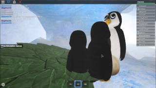 Roblox How To Video Penguin Simulator Youtube - where is the penguin in pilot sim on roblox