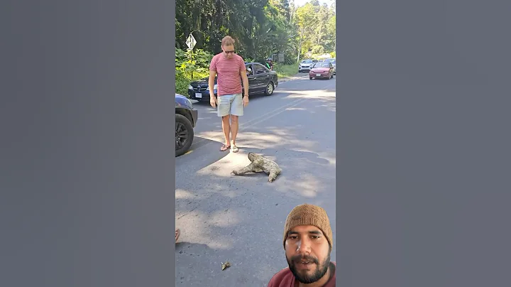 Man Rescues Stranded Sloth with Help from Another#shorts #trending #viralvideo #youtubeshorts