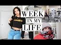 WEEKLY VLOG | INTENSE BOOTY WORKOUT + PREVENT BLOATING