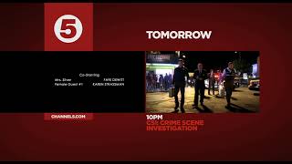 Channel 5 2011 Rebrand Packaging Promos, Ecps, Break Bumpers