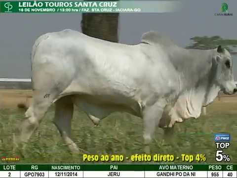 LOTE 002