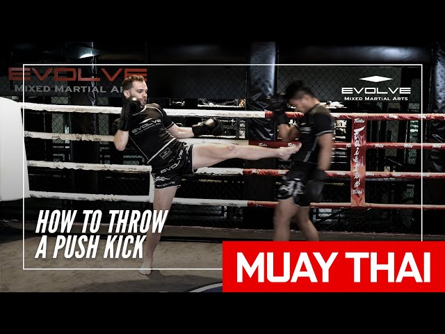 How To Throw A Muay Thai Push Kick | Evolve MMA