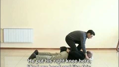 Alexander Gerasimov Testimony, Part 1