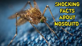 True Facts: The Mosquitoes