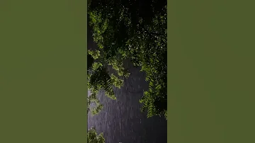 صوت المطر راحة 