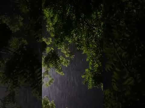 صوت المطر راحة