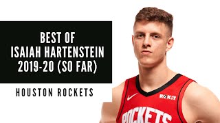 Isaiah Hartenstein | Best of 2019-20 (so far) | Houston Rockets