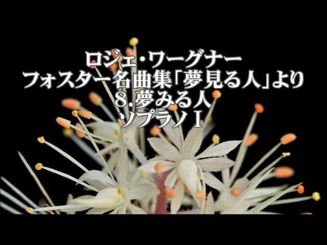 ロジェ・ワーグナー合唱曲集1 「夢みる人 フォスター名曲集」より 4