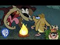 Fire Burger | Taz Quest For Burger | @wbkids