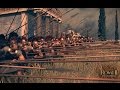 Total war: Rome 2/ Битва при Рафии.