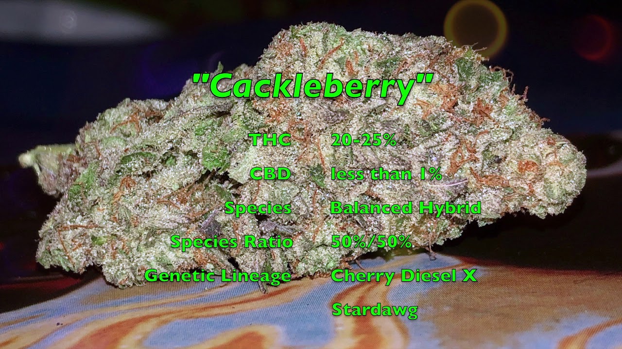 "Top Medical Cannabis Strains of Puerto Rico - Pt. 1 " by P-Squared