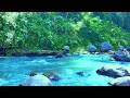 Refreshing Clear River in Green Forest – Nature Sounds and Scenic Beauty