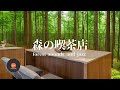 環境音+JAZZ やさしい森の喫茶店 鳥のさえずり 川のせせらぎ 自然の環境音 森の中 CAFE JAZZ - 作業用BGM