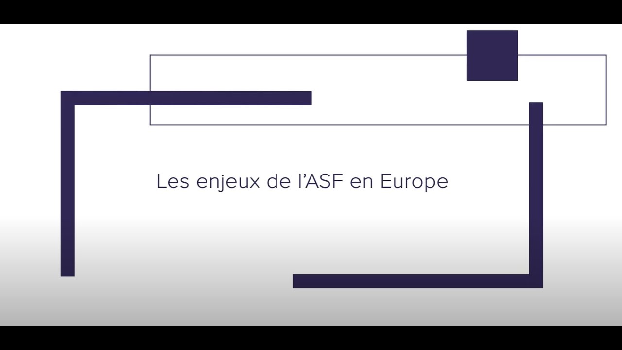 Les enjeux de l ASF en Europe - YouTube