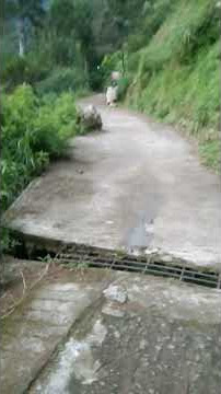 pertapaan pringgodani#jalan #religious #hiking #pendaki