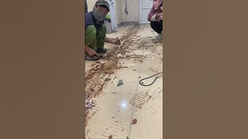 Xử lý nền gạch men trước khi lát sàn gỗ tại chung cư #sango247 #trieusango #thegioisan