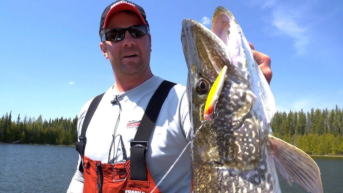 5 Lures Every Pike Angler NEEDS in Their Tackle Box