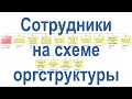 Отображение сотрудников на схеме организационной структуры