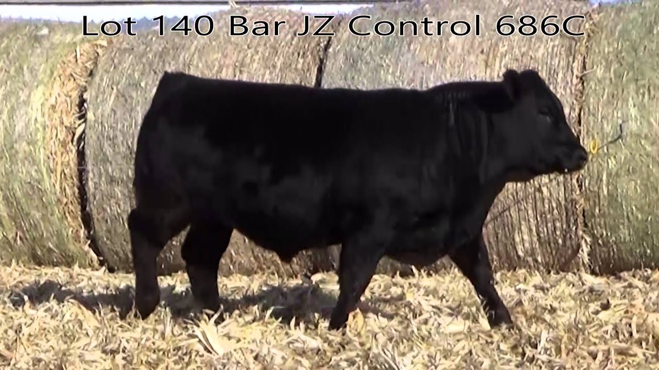 Lot 140 Bar JZ Control 686C