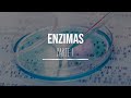 Enzimas- PARTE 1/2 - Bioquímica - Lic. en Nutrición