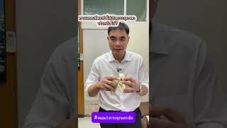 ทานแคลเซียมทำให้เกิดกระดูกงอก จริงหรือไม่?