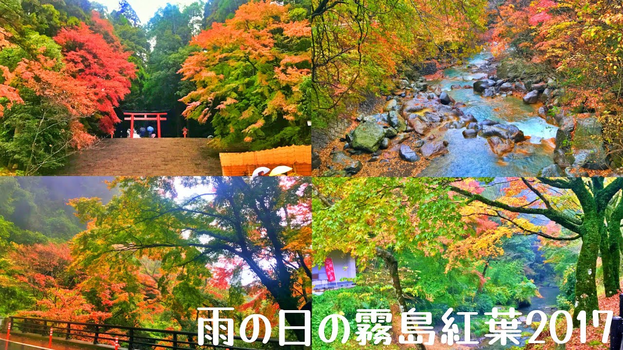 雨の紅葉 霧島神宮 丸尾滝 新川渓谷 鹿児島の風景 Vol 235 18 11 16 Youtube