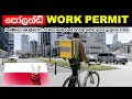 පෝලන්තයේ රැකියා බලපත්‍ර | about poland working visa 🇵🇱