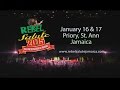 Capture de la vidéo Rebel Salute 2015 Media Launch @ Countryside Kingston - Video #4