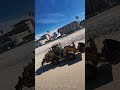 San Diego Lifeguard in Pacific Beach and Tractor Moving Towers Spring Break 2026 Has Begun 02/24/26