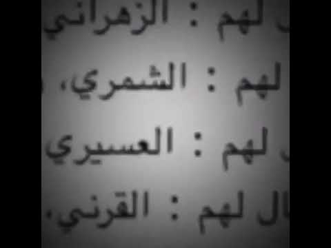 عدد افراد قبيله عسير